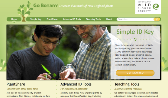 Screen shot of the Go Botany website